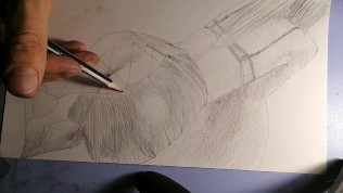 DOGGING MY WIFE IN SEXY SKIRT – SEX ART #22