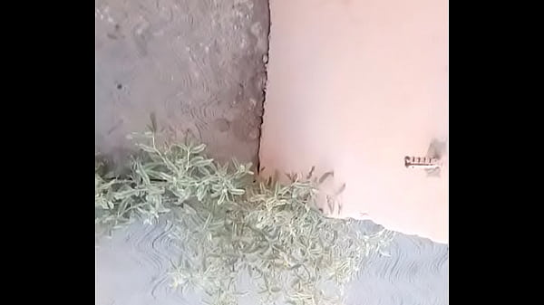 Marica que cojia con hombres Le atrae una Universitaria pa cojer